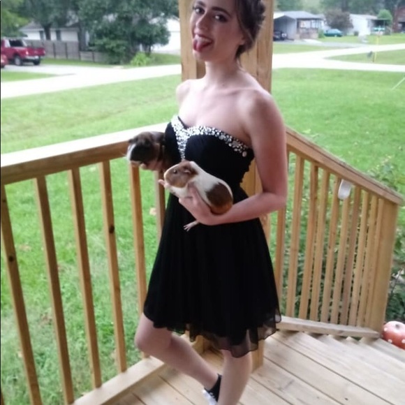 Meet the posher - Picture 5 of 8